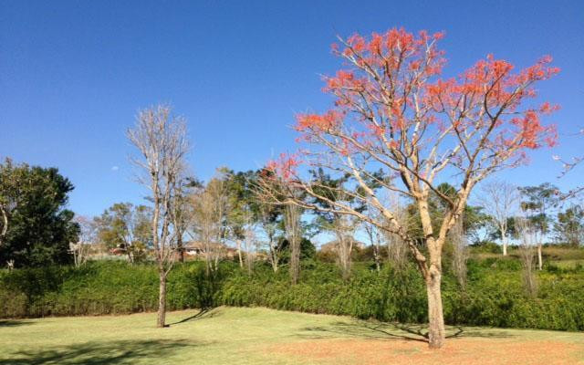 Quintal da Baronesa Casa CA2060