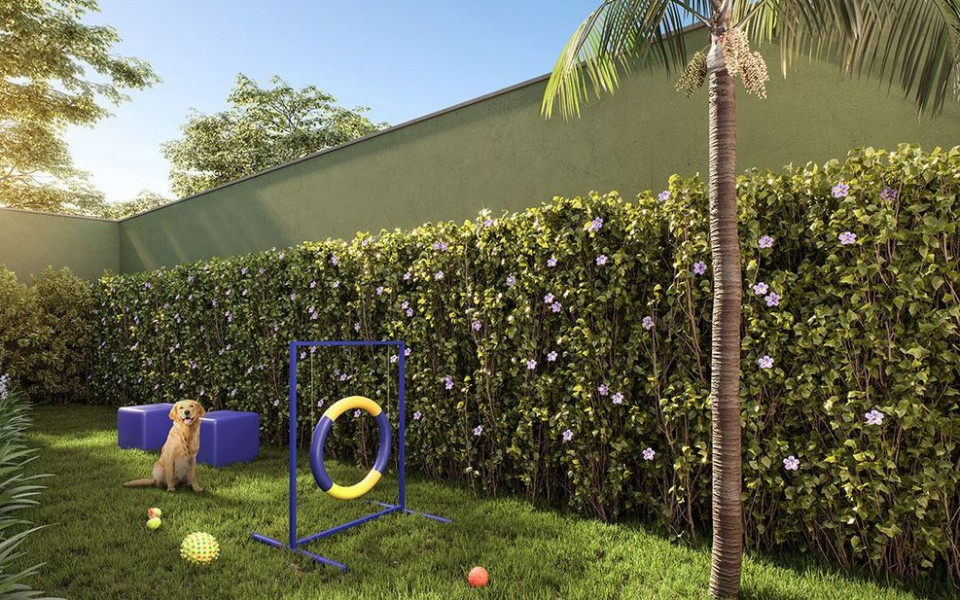 Raízes Tucuruvi Figueira