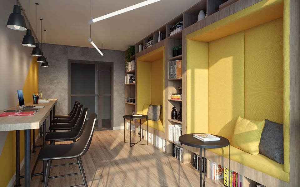 Raízes Tucuruvi Figueira