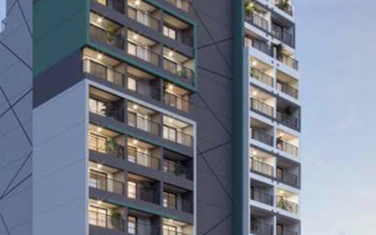 Raízes Tucuruvi Figueira