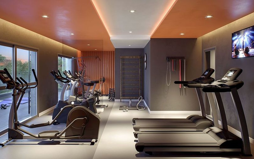 Raízes Tucuruvi Figueira