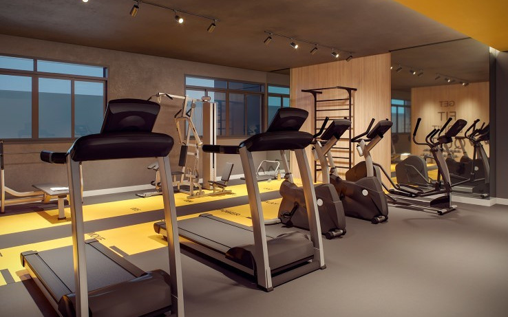 Raízes Tucuruvi Jacarandá