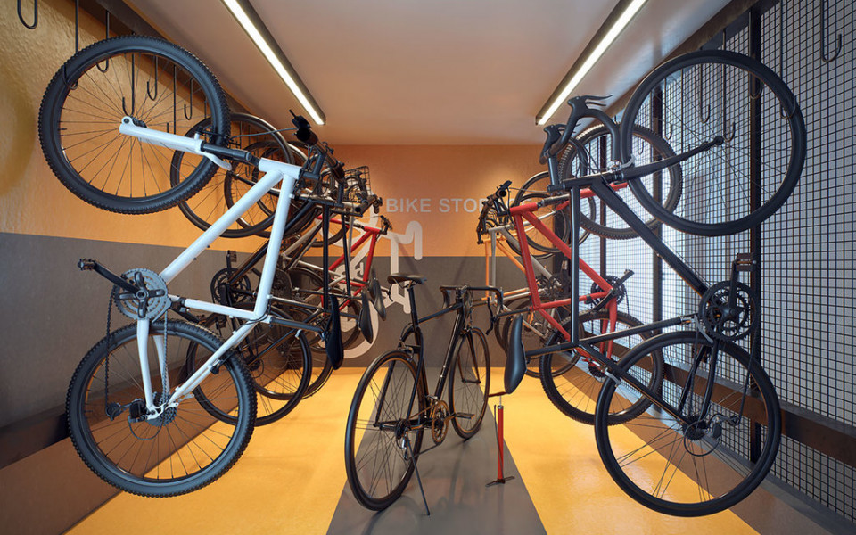 Raízes Tucuruvi Jacarandá