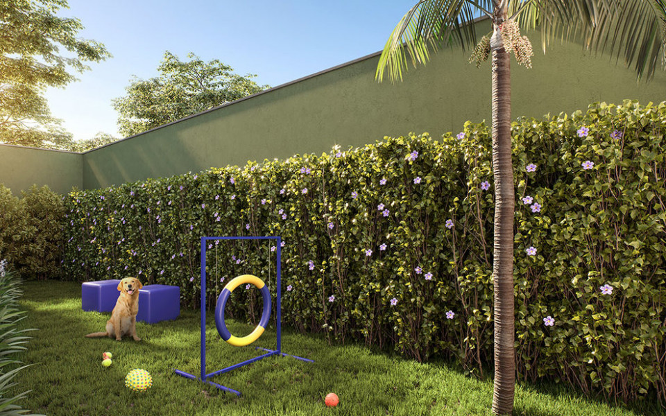 Raízes Tucuruvi Jacarandá