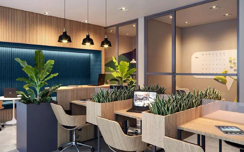 Raízes Vila Mascote