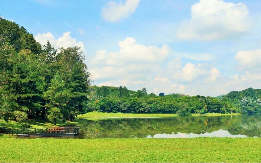 Reserva Ibirapitanga