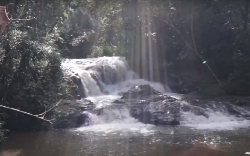 Reserva Ibirapitanga