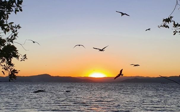 Residencial Felipe Mores Apto