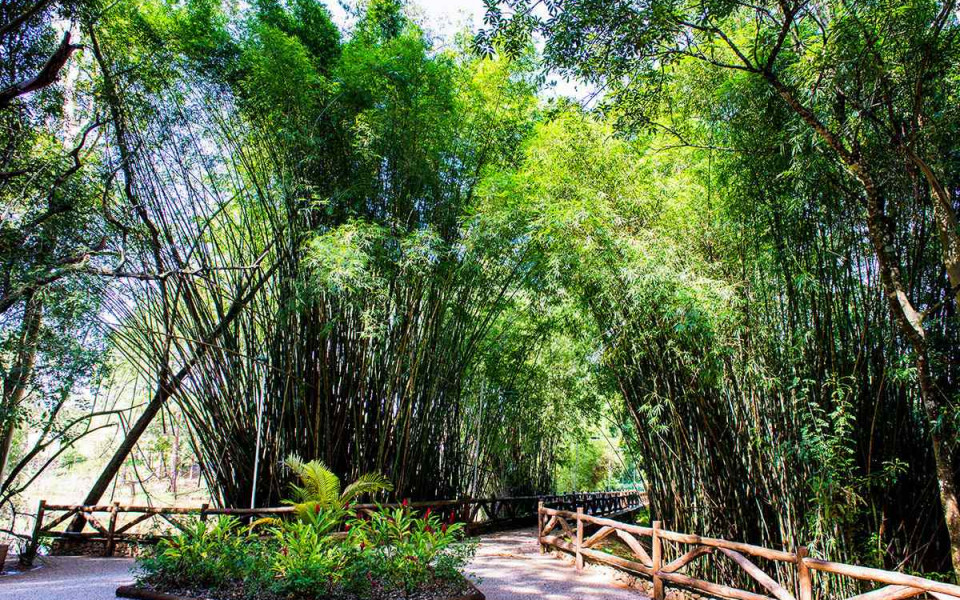 Residencial Saint Patrick