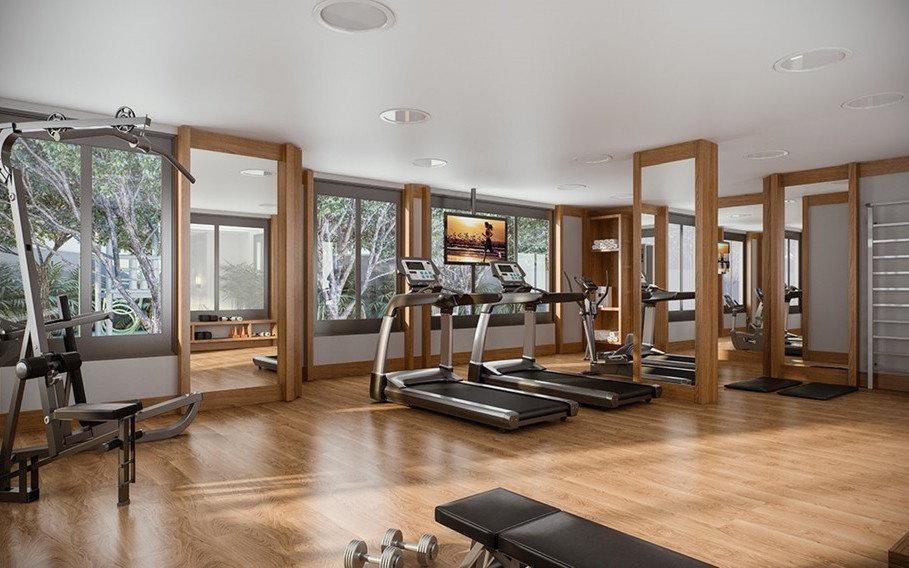 Saphir Morgado de Mateus