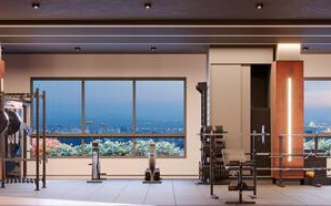 Terraço Bougainville