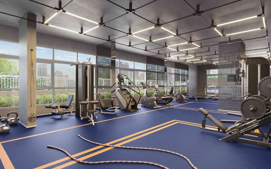 The Collection Paulista