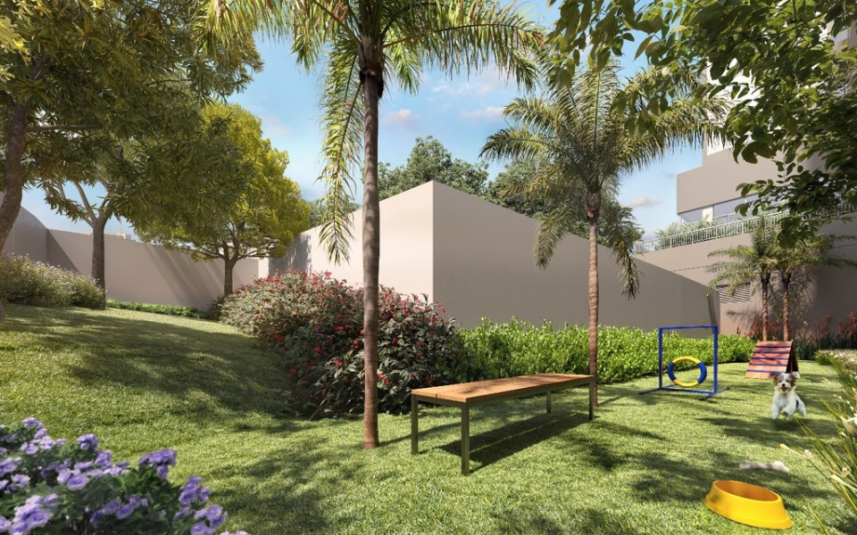 The Collection Paulista