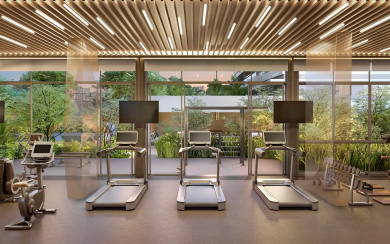 Tree Haus Porsche Consulting