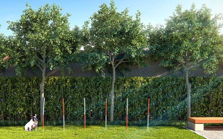 Universo Tatuapé - Estrela