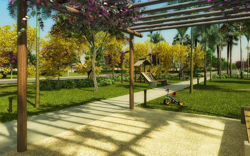 Verana Várzea Grande