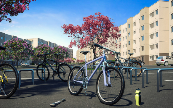 Viva Vida Santa Cruz