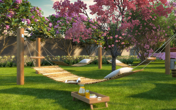 Viva Vida Santa Cruz