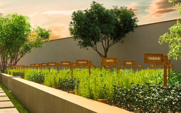 Viva Vida Zona Norte