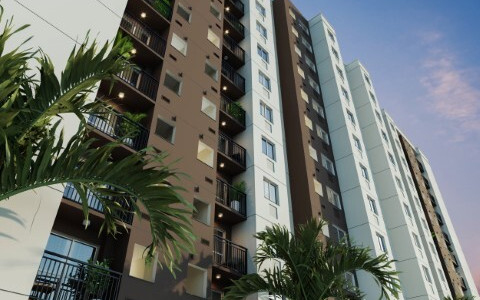 Vivaz Prime Zona Norte