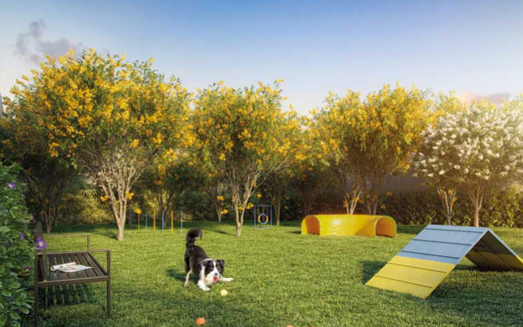 Dream View Sky Resort