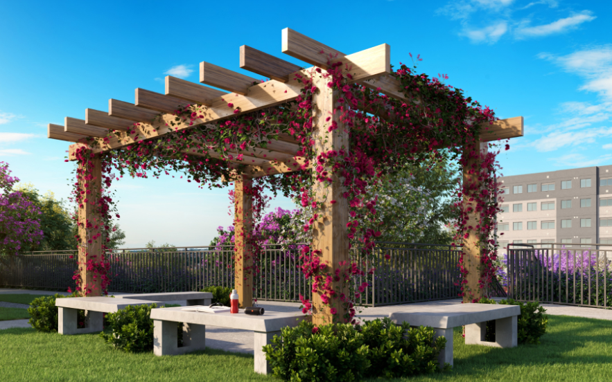 Viva Parque do Carmo