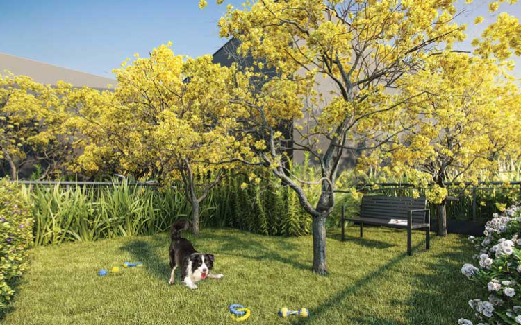 Expression Ibirapuera by Ez